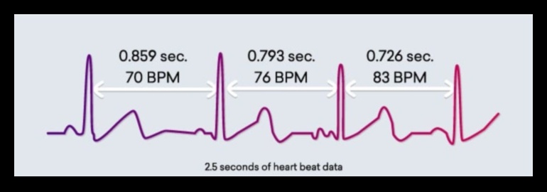 Heartbeat Harmony: Kardiyovasküler Fitness'ta Sevinci Keşfetmek