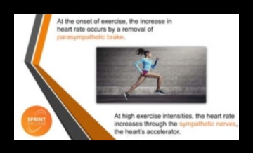 Heartbeat Harmony Kardiyovasküler Fitness’ta Sevinci Bulun